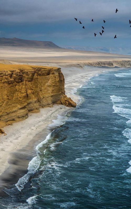 WhatsApp Image 2018-12-10 at 21.11.14