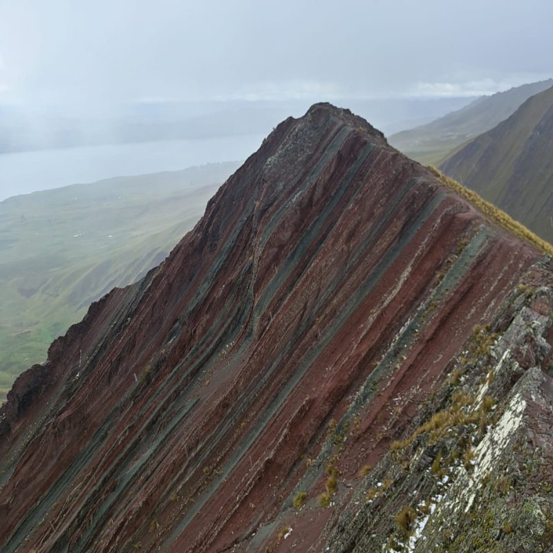 WhatsApp Image 2025-01-27 at 21.29.55