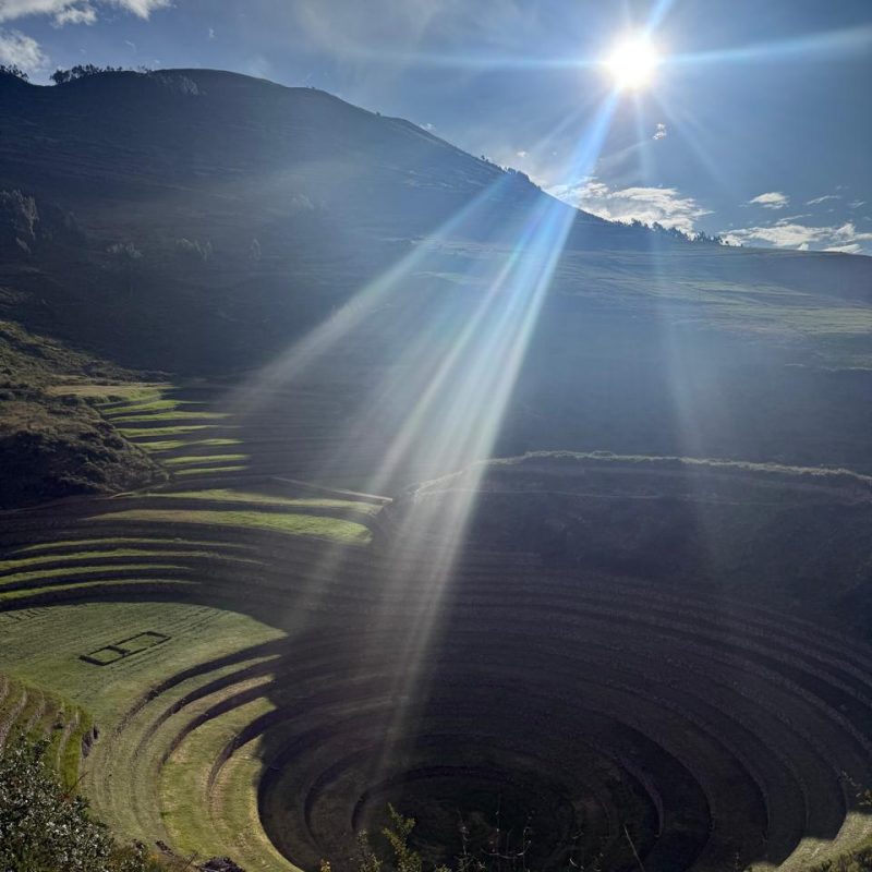 WhatsApp Image 2025-06-01 at 4.06.57 PM (2)