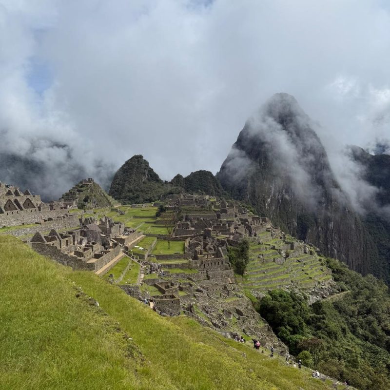 WhatsApp Image 2025-06-01 at 4.17.26 PM