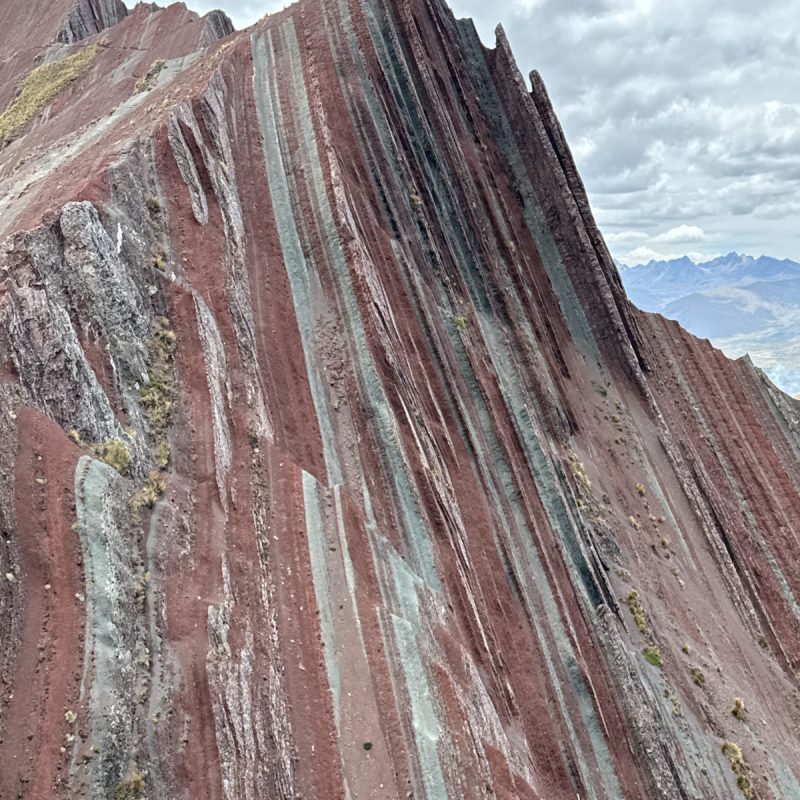 WhatsApp Image 2026-03-21 at 4.38.53 PM (3)