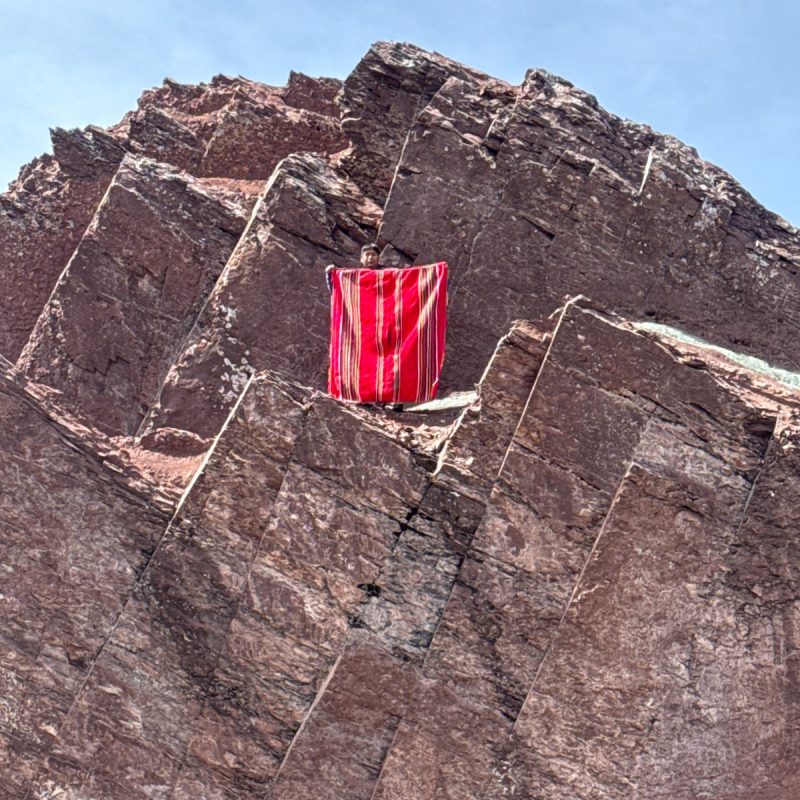 WhatsApp Image 2026-03-21 at 4.38.53 PM (5)