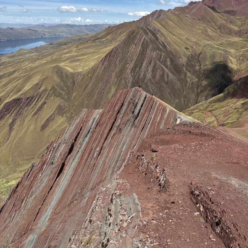 WhatsApp Image 2026-03-21 at 4.38.53 PM